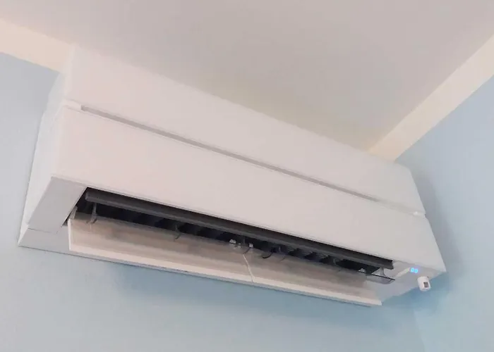 Bruna 체제나티코