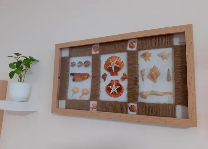 Bruna B&B 체제나티코