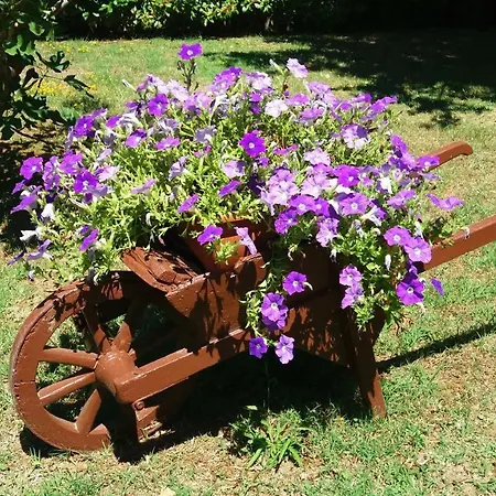 Bruna Bed & Breakfast Cesenatico