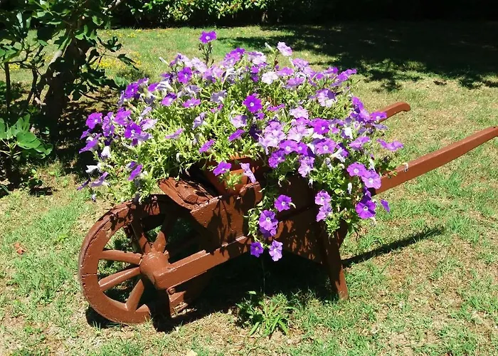 Bruna Nocleg ze śniadaniem Cesenatico